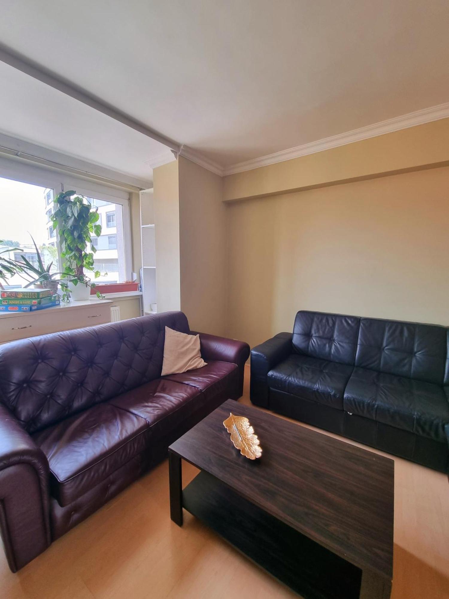 Big 4 Room Huge Apartment Братислава Екстер'єр фото